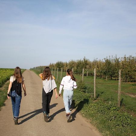 Hoeve Jadoul Gingelom Esterno foto