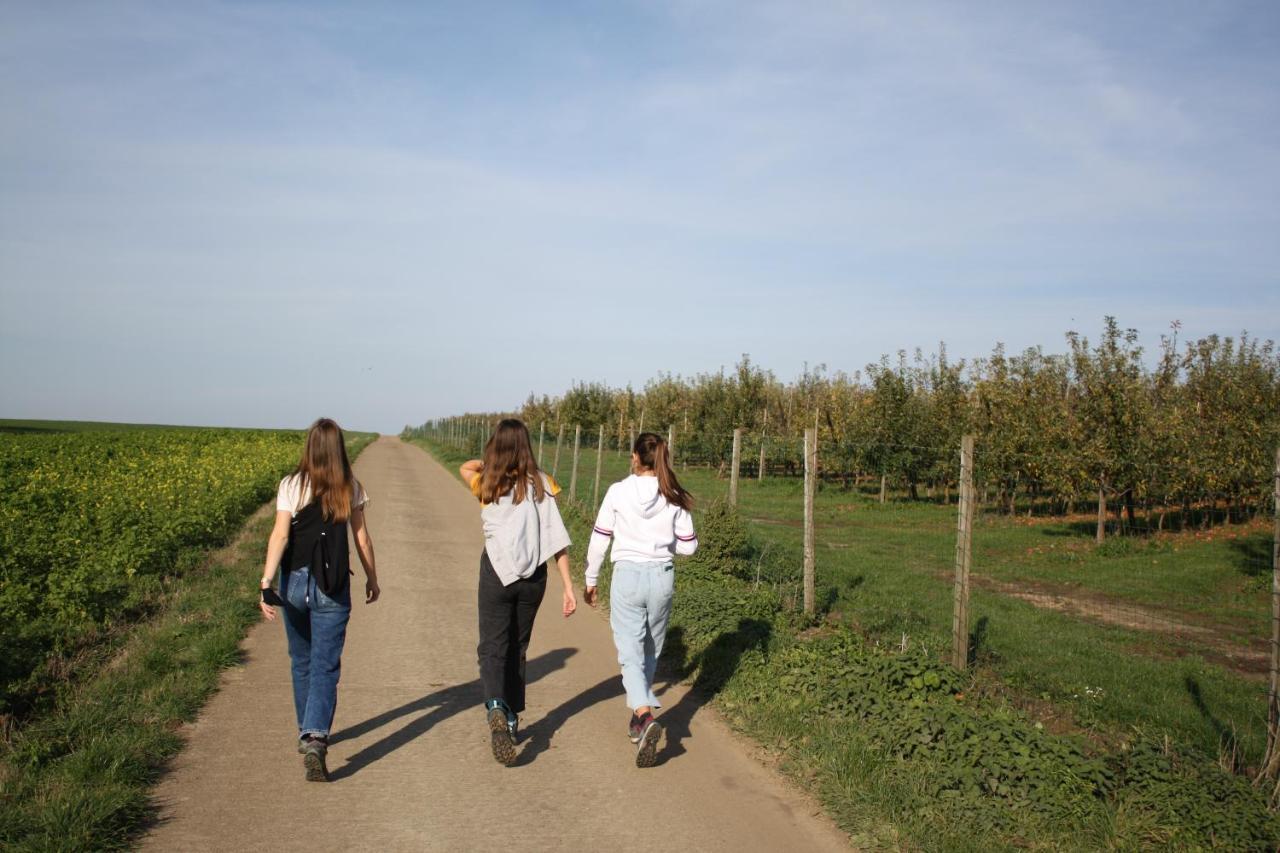 Hoeve Jadoul Gingelom Esterno foto