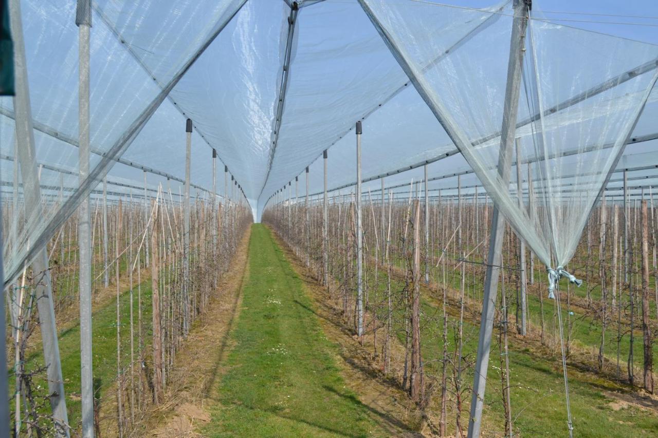 Hoeve Jadoul Gingelom Esterno foto