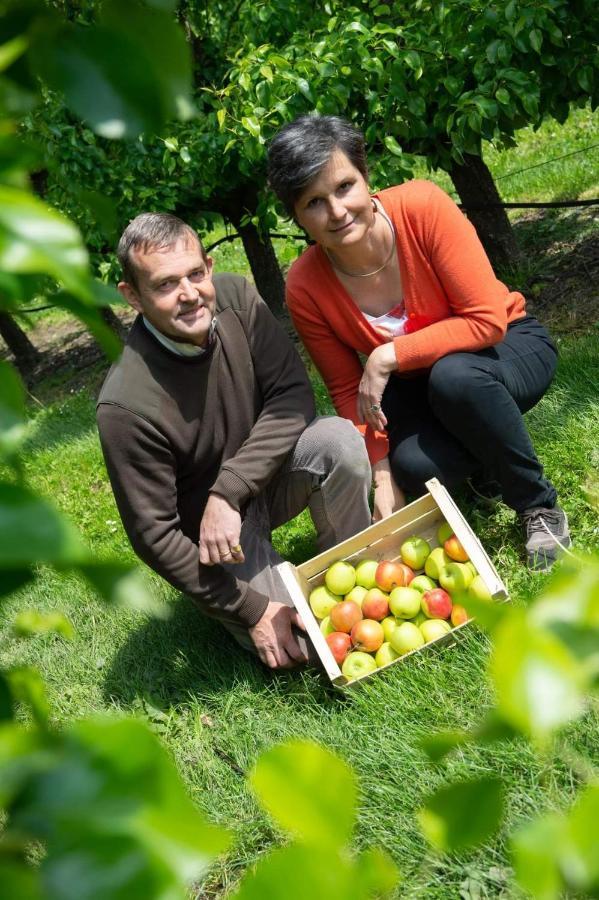 Hoeve Jadoul Gingelom Esterno foto